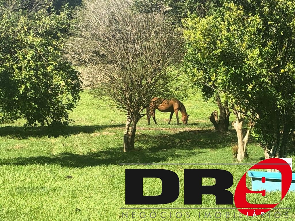 Sítio, 4 quartos, 1000 m² - Foto 84