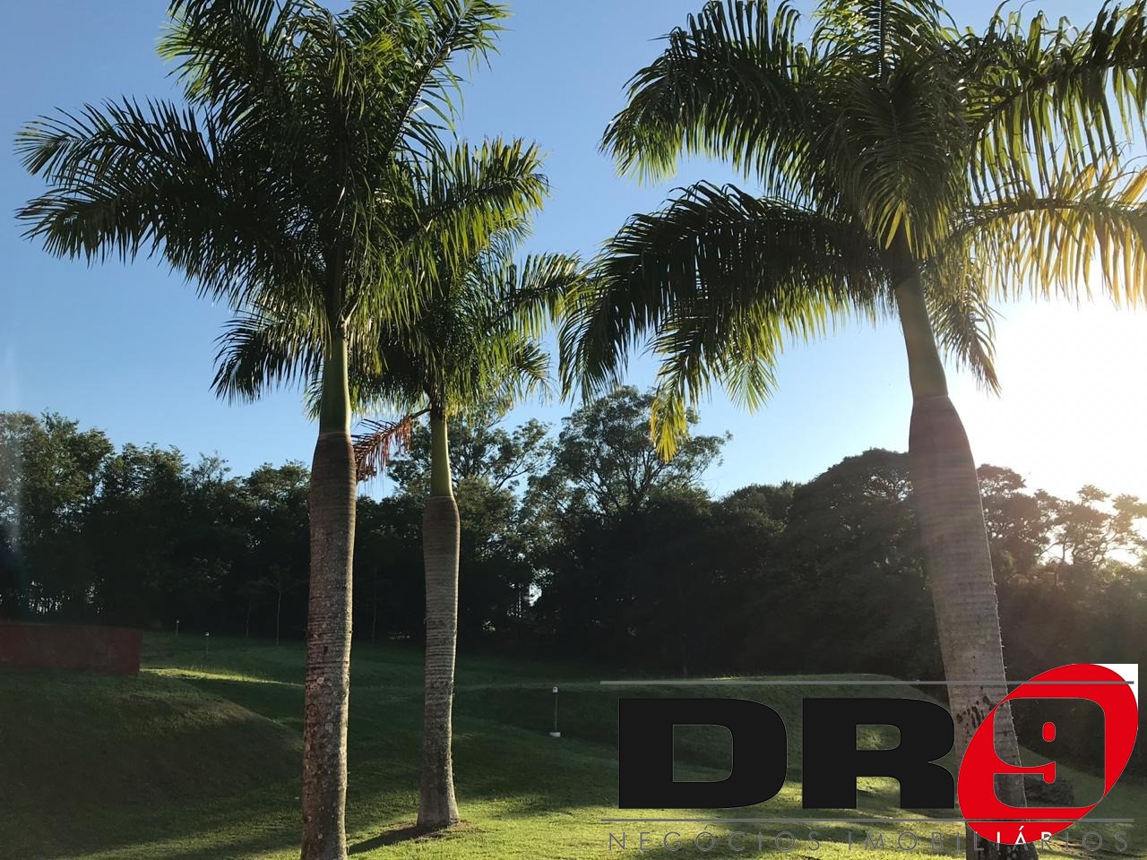 Sítio, 4 quartos, 1000 m² - Foto 135