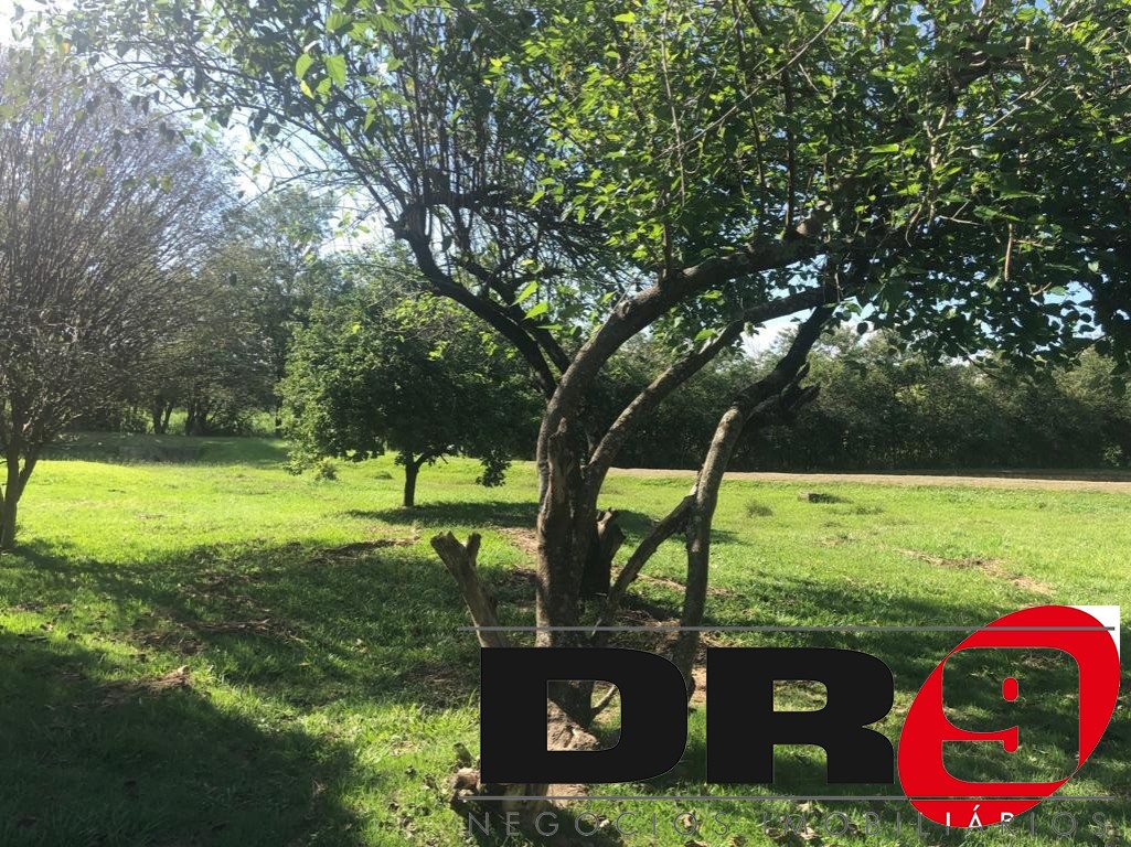 Sítio, 4 quartos, 1000 m² - Foto 183