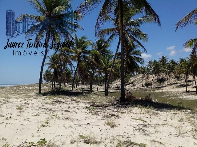 Terreno - Mangue seco