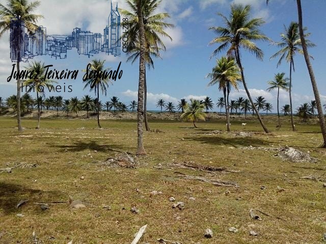 Terreno - Mangue seco