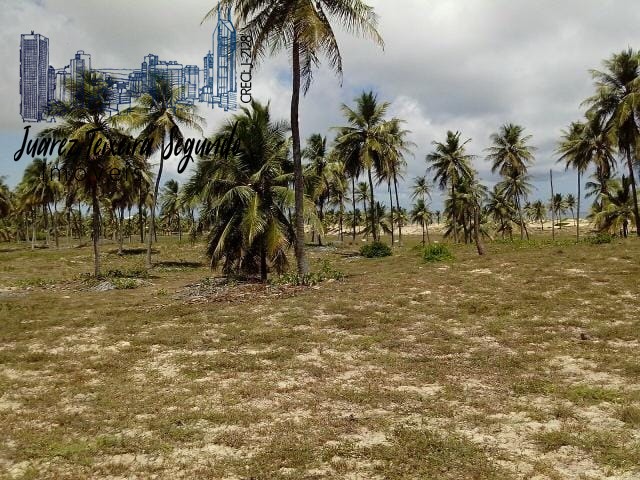 Terreno - Mangue seco