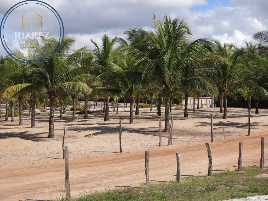 Terreno - Costeira de atalaia