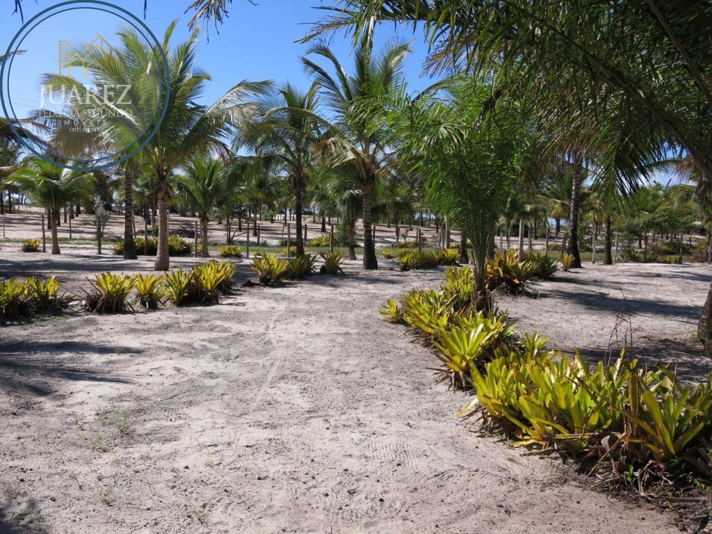 Terreno - Costeira de atalaia
