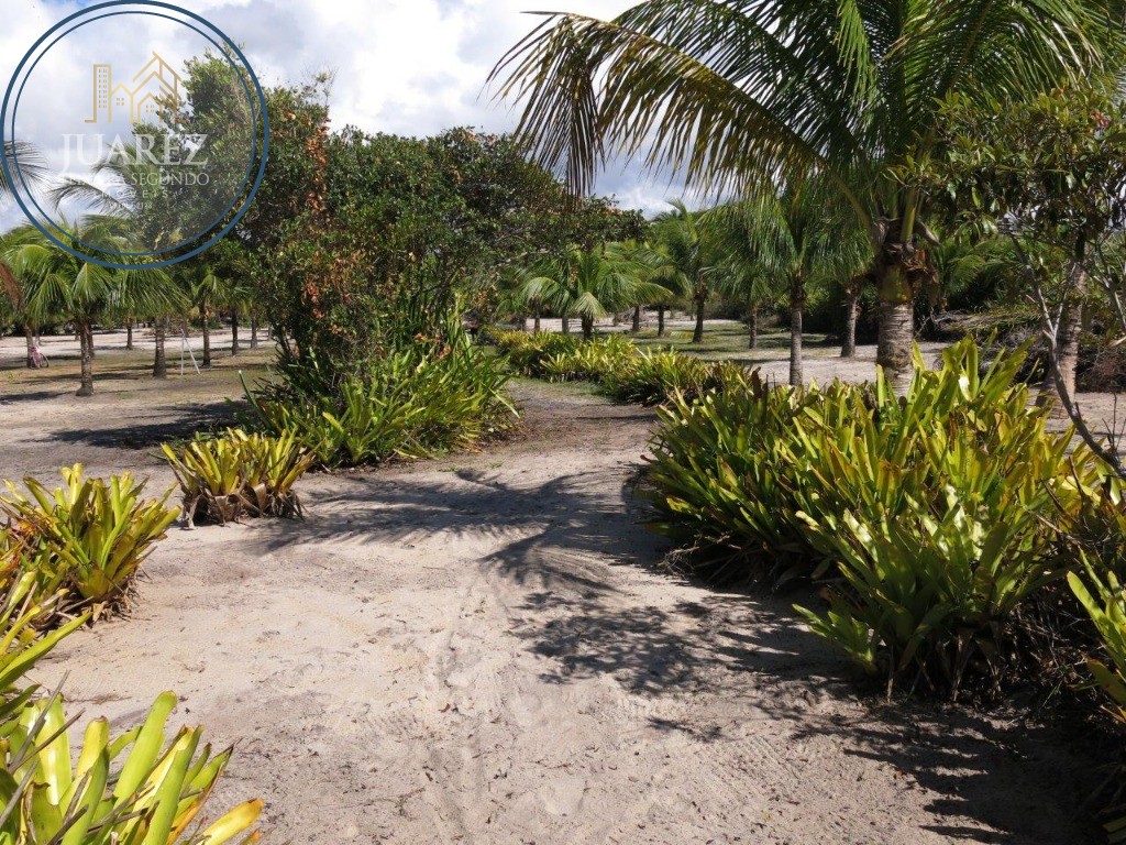 Terreno - Costeira de atalaia