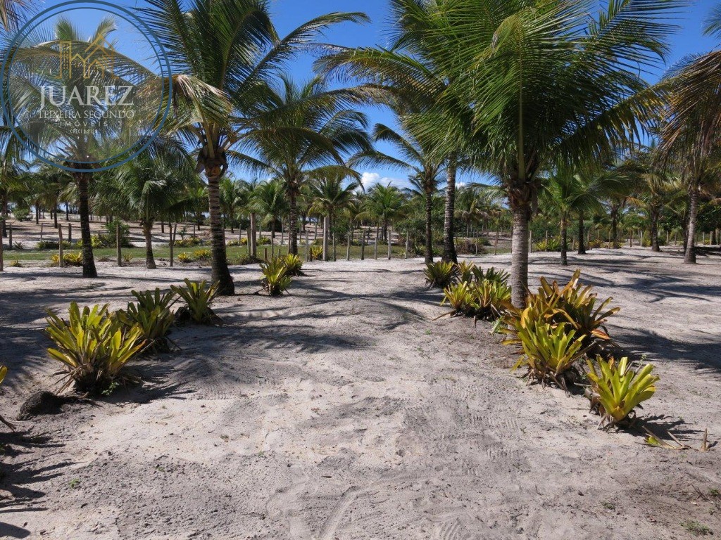 Terreno - Costeira de atalaia