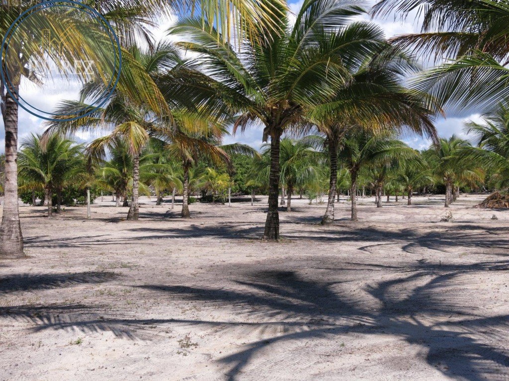 Terreno - Costeira de atalaia