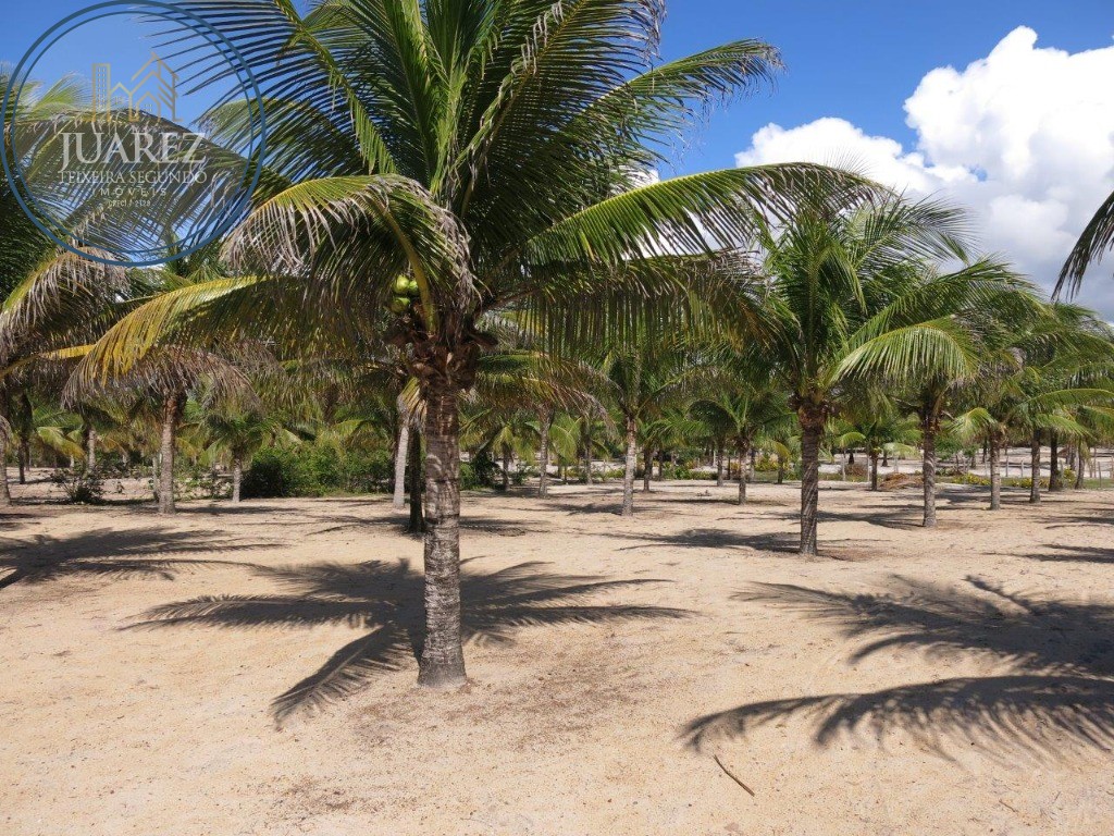 Terreno - Costeira de atalaia