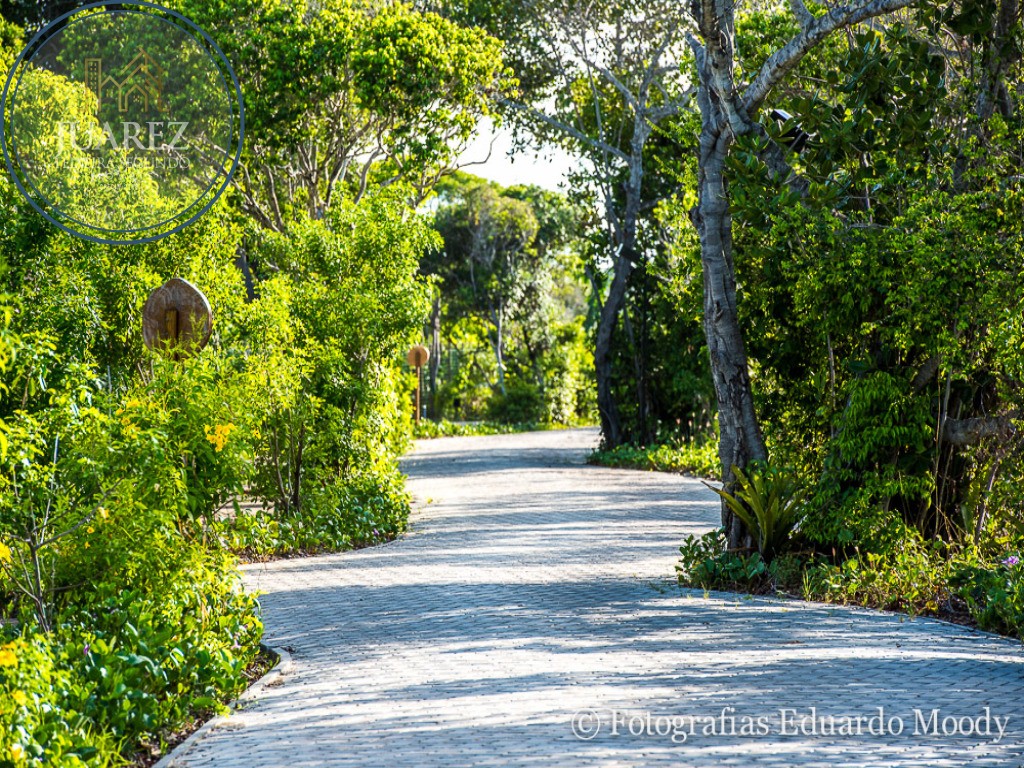 Terreno - Praia do forte