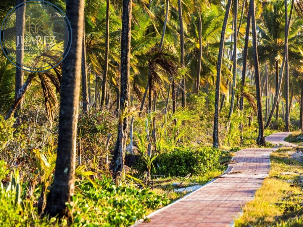 Terreno - Praia do forte