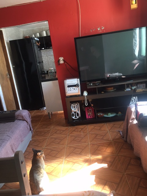 Apartamento, 2 quartos, 46 m² - Foto 16