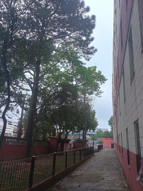 Apartamento, 2 quartos, 56 m² - Foto 22