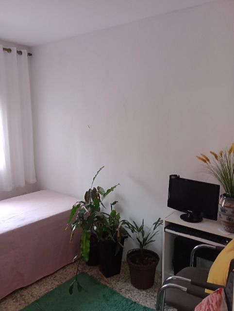 Apartamento, 2 quartos, 36 m² - Foto 2