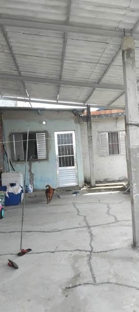 Casa, 5 quartos - Foto 15