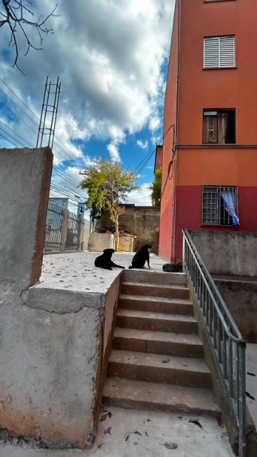 Apartamento, 2 quartos, 46 m² - Foto 9