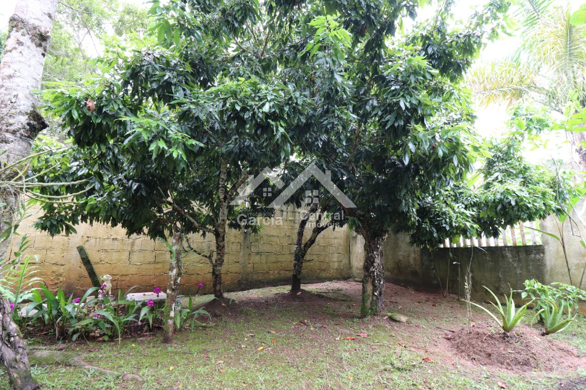 Foto 32 - Casa em Peruíbe em Bougainville