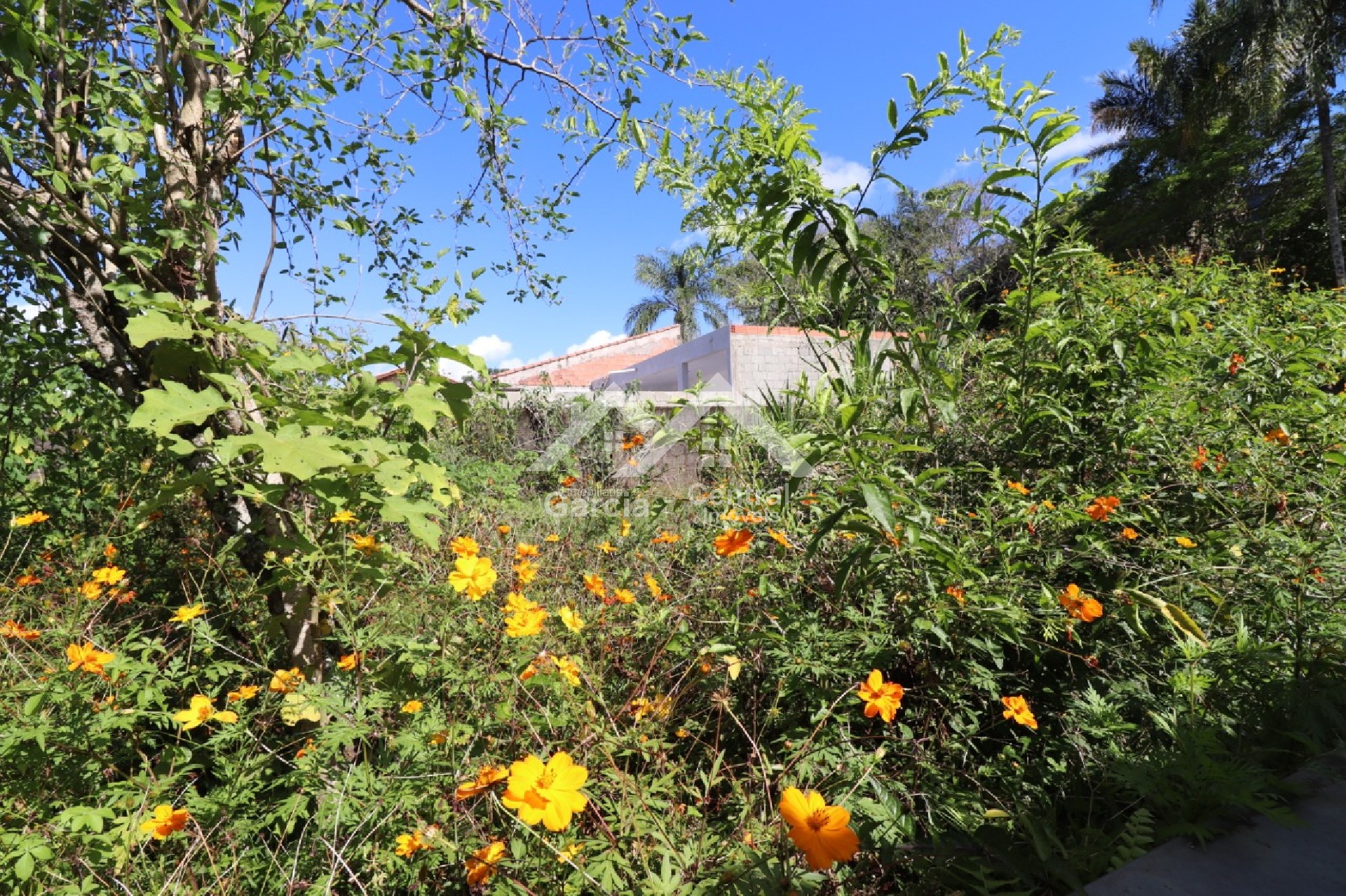 Foto 4 - Terreno em Peruíbe