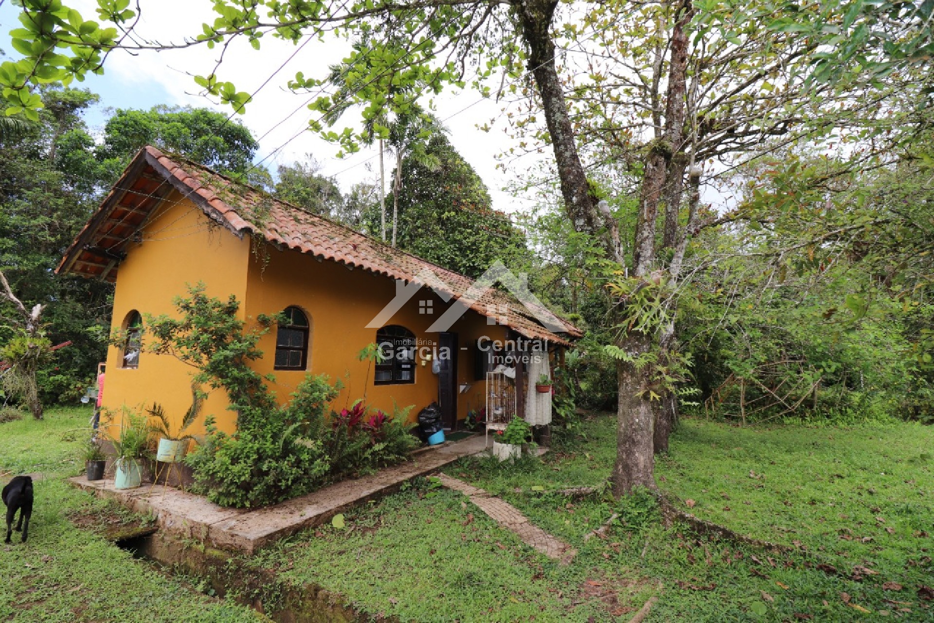 Foto 25 - Sitio em Peruíbe