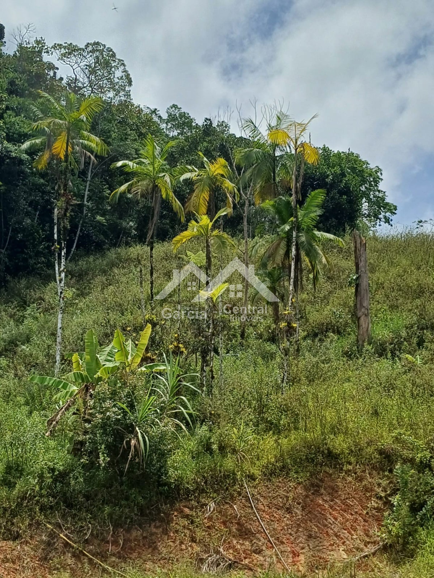 Foto 9 - Sítio em Peruíbe