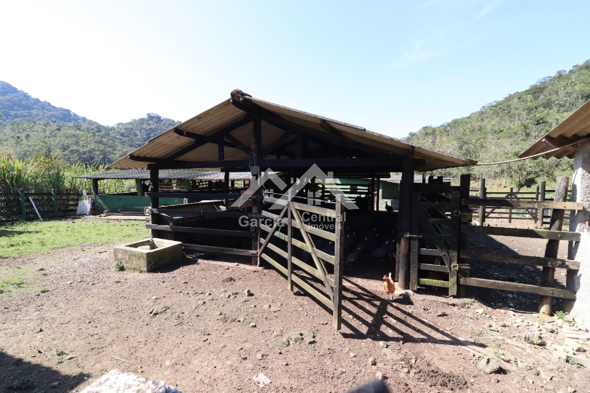 Foto 45 - Sitio em Peruíbe