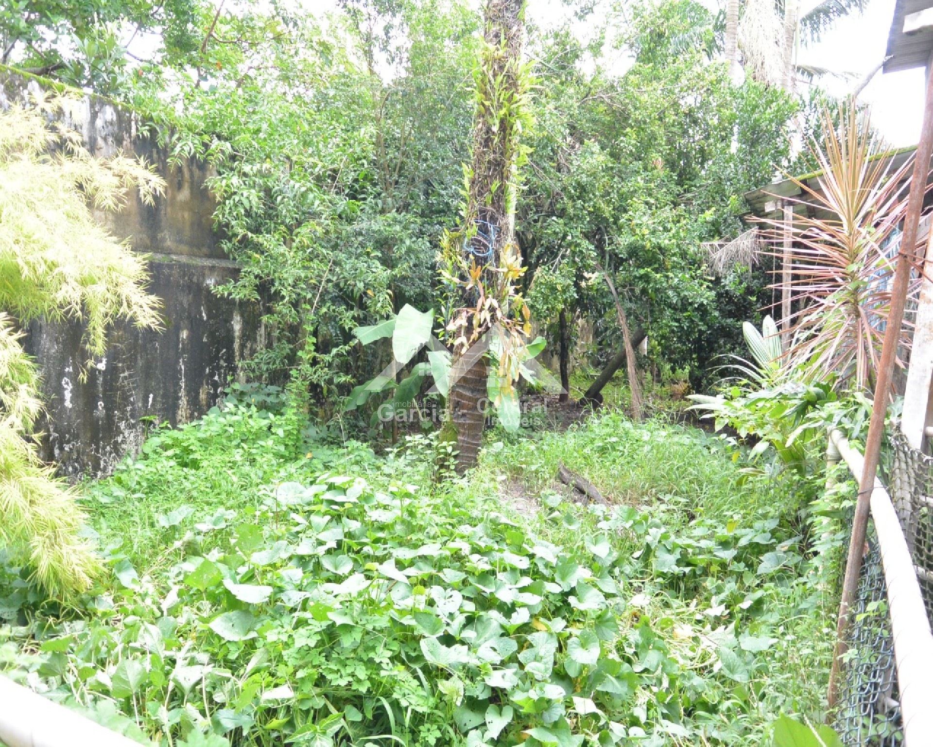 Foto 12 - Casa em Peruíbe no bairro Centro