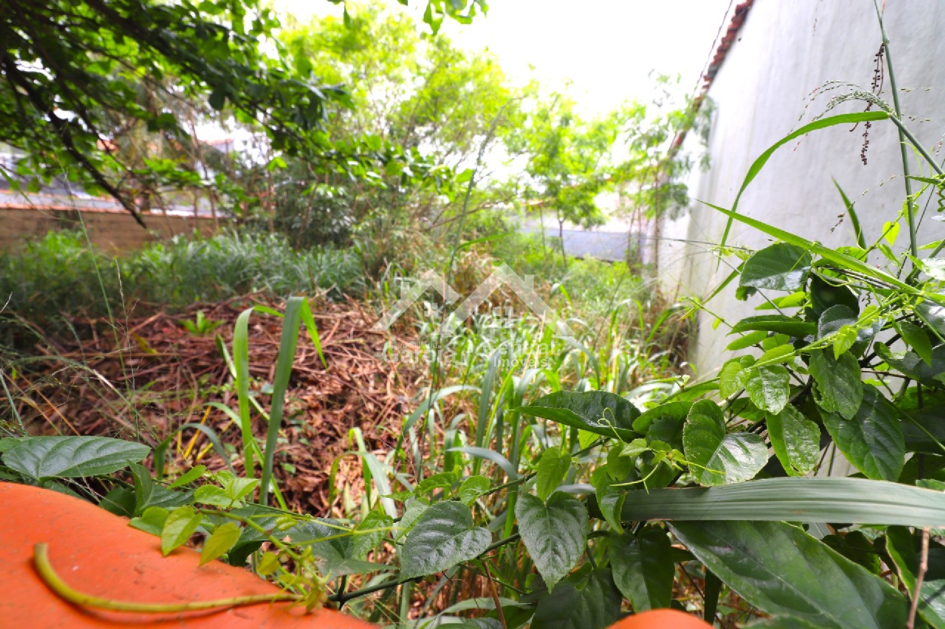 Foto 4 - Terreno em Peruíbe