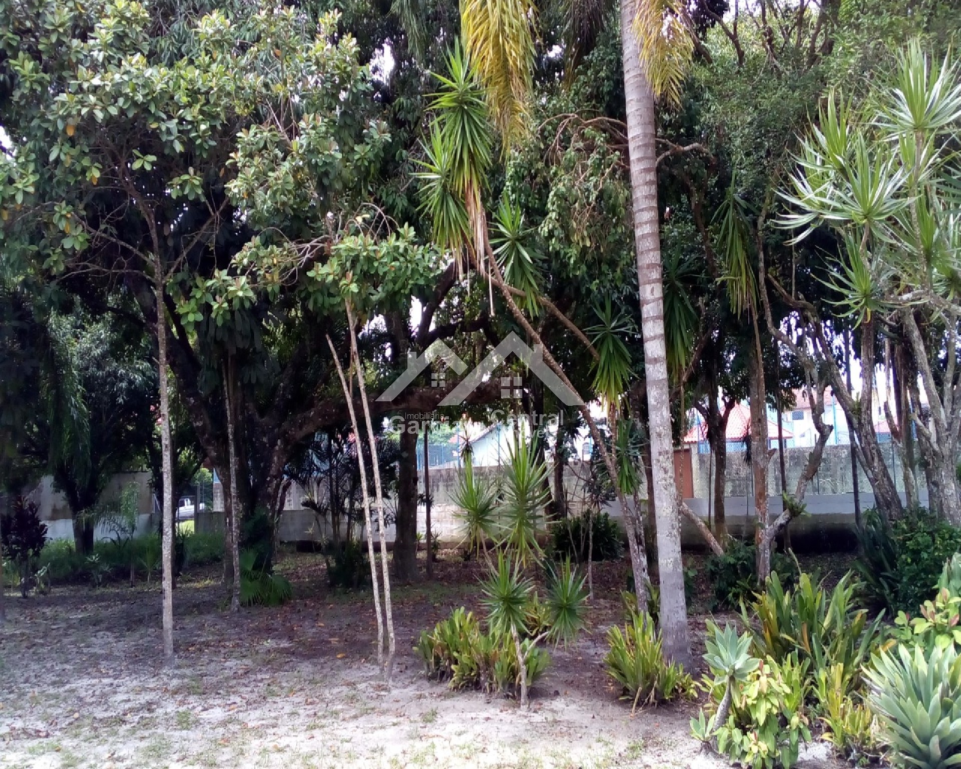 Foto 7 - Casa em Peruíbe no bairro Convento Velho