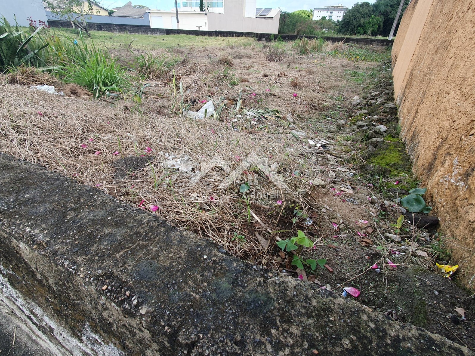 Foto 2 - Terreno em Peruíbe