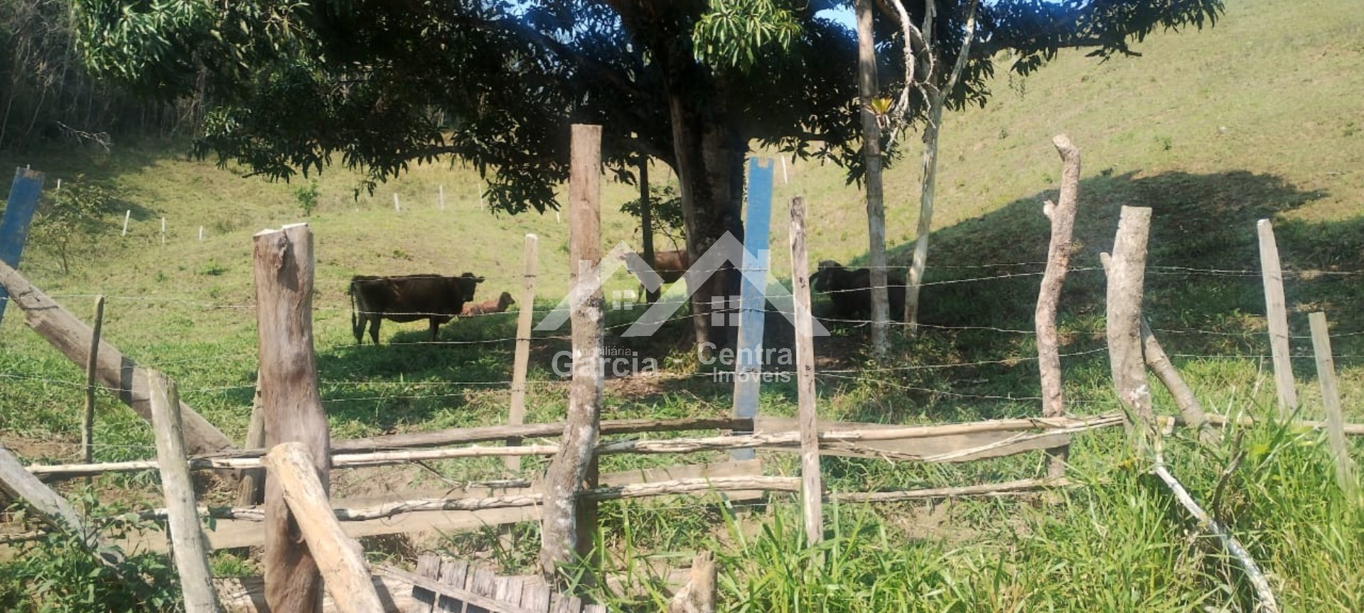 Foto 6 - Sítio em Pedro de Toledo