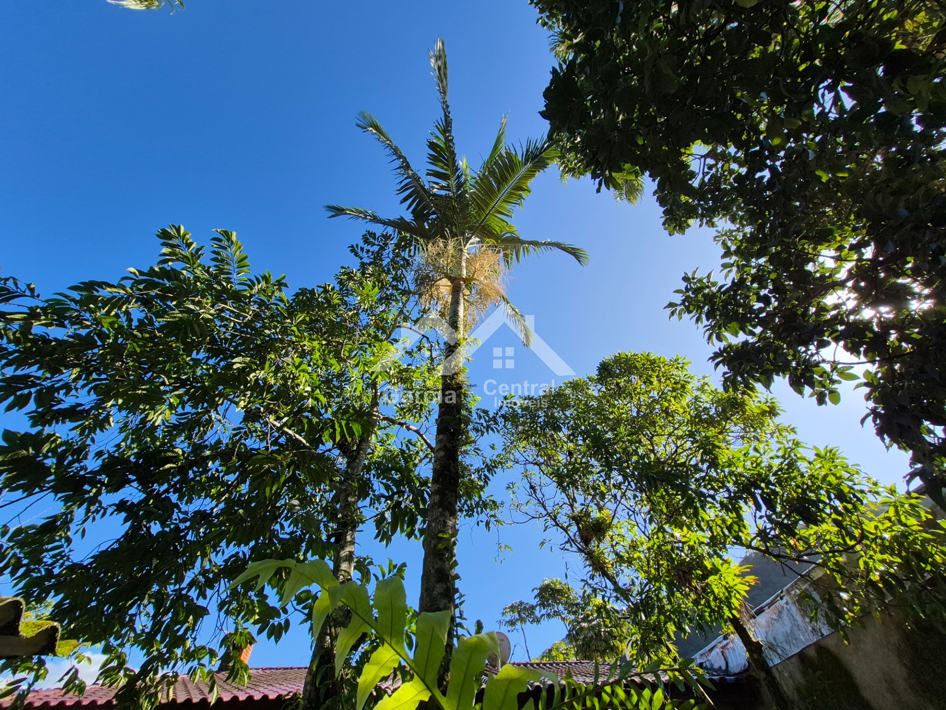 Foto 40 - Sobrado em Peruíbe
