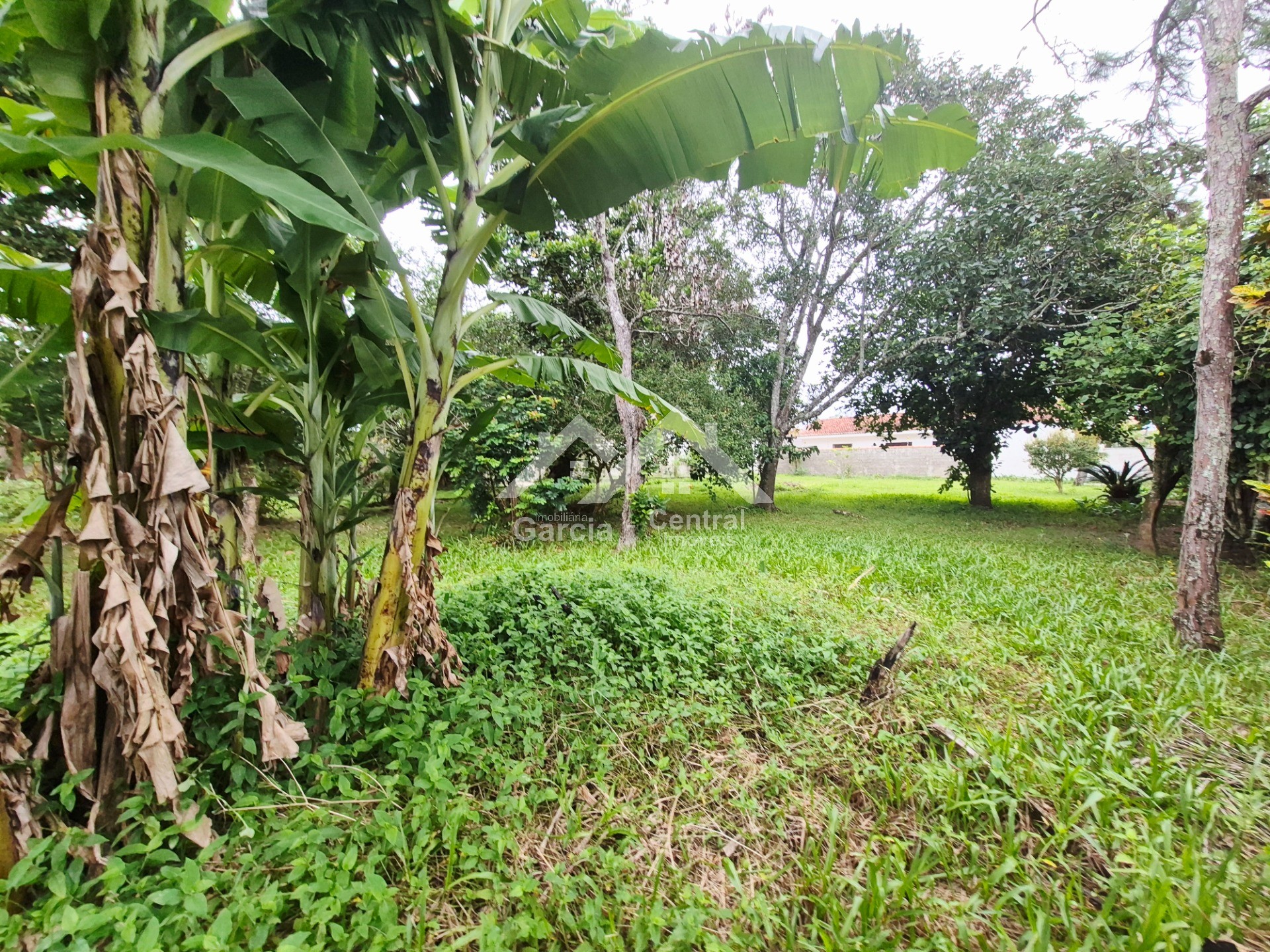 Foto 3 - Terreno próximo a praia em Peruíbe