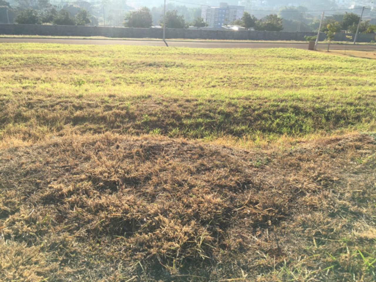 Terreno, 261 m² - Foto 2