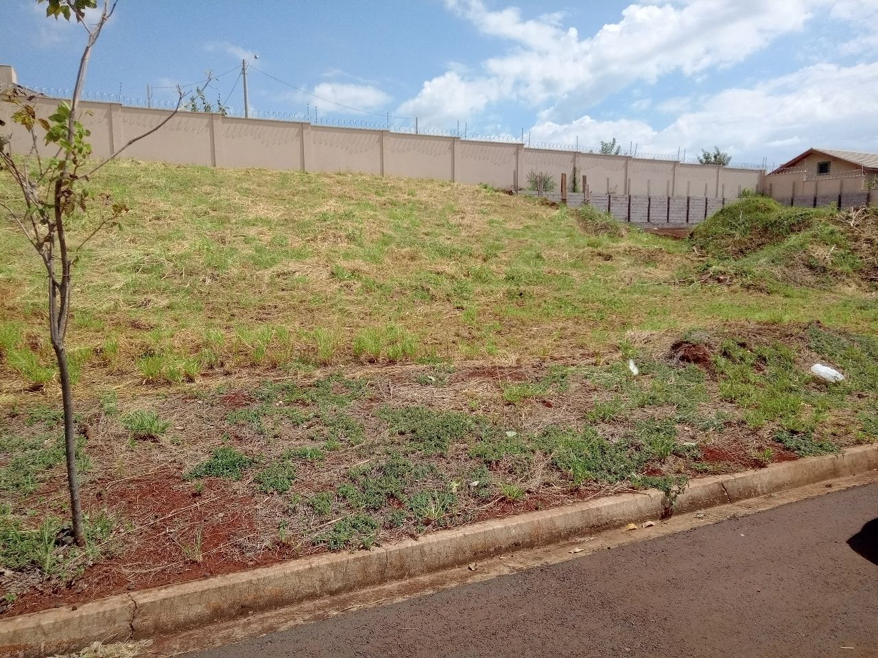 Terreno - Foto 3