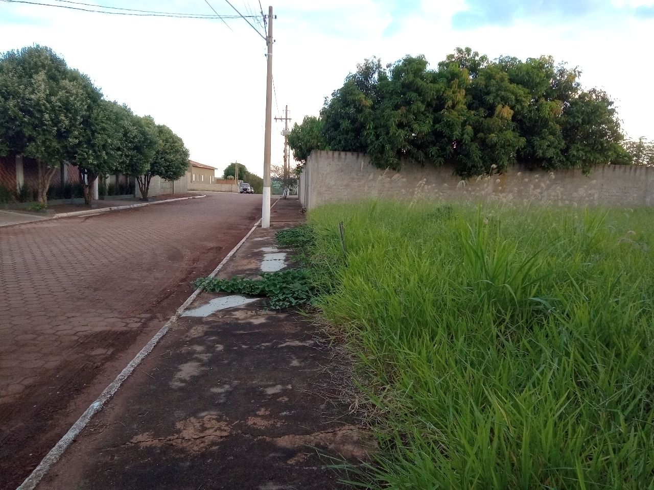 Terreno, 1000 m² - Foto 3