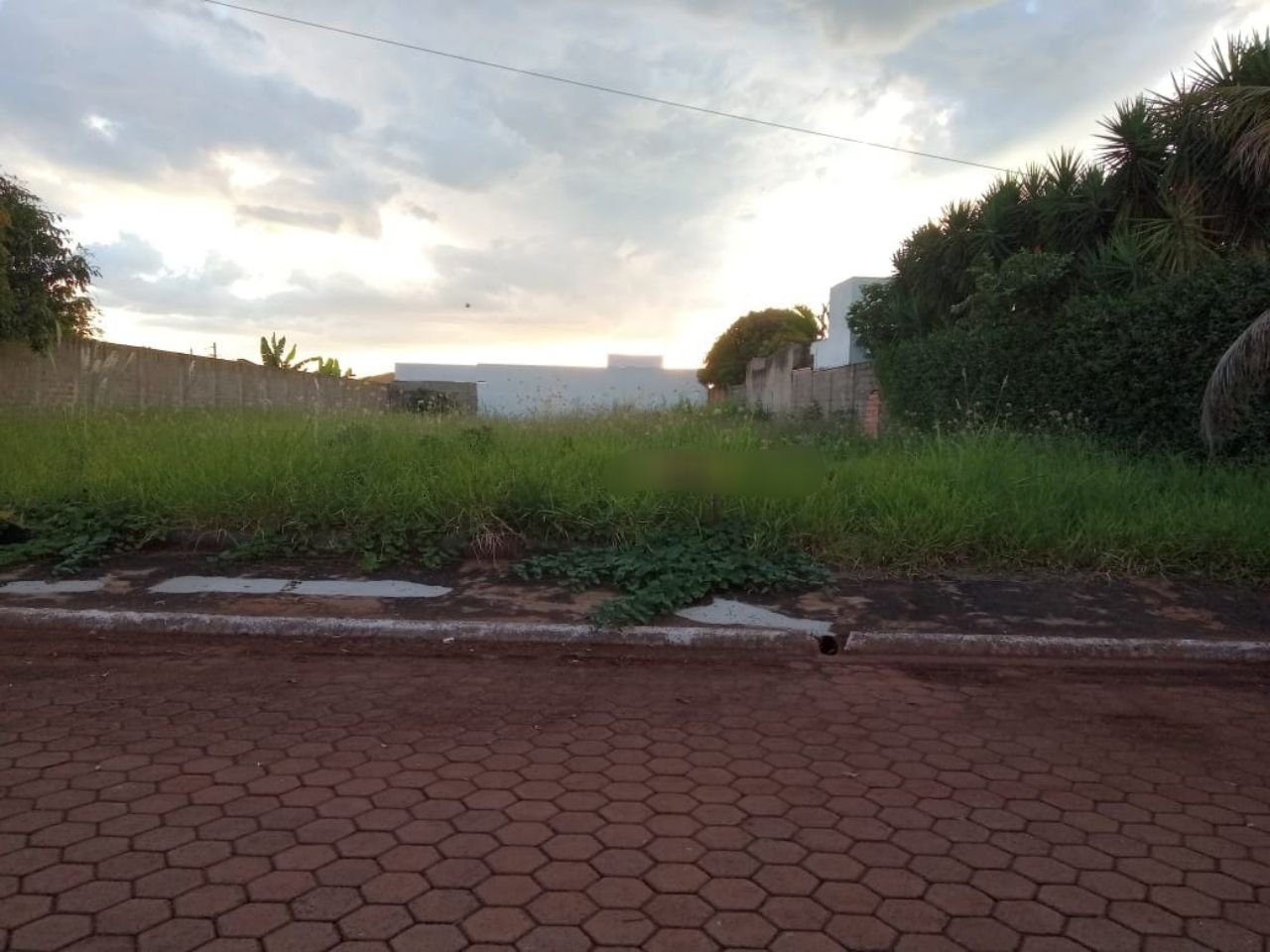 Terreno, 1000 m² - Foto 1