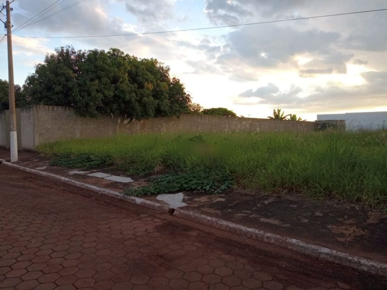 Terreno, 1000 m² - Foto 2