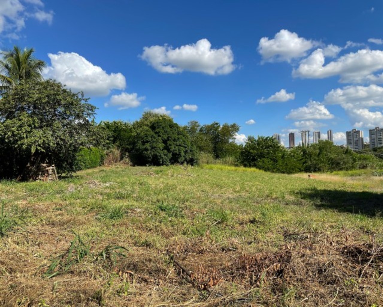Terreno, 1515 m² - Foto 6