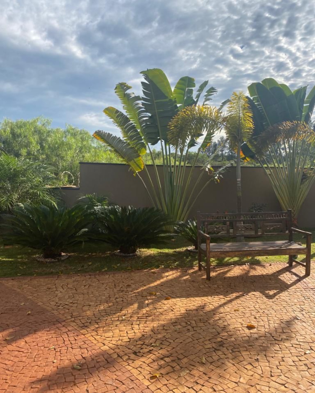 Casa, 4 quartos - Foto 3