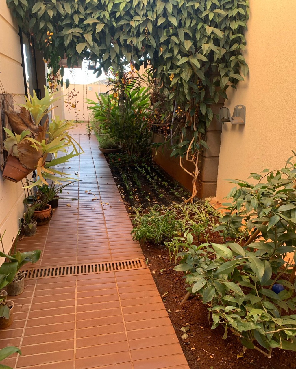 Casa, 4 quartos, 275 m² - Foto 26