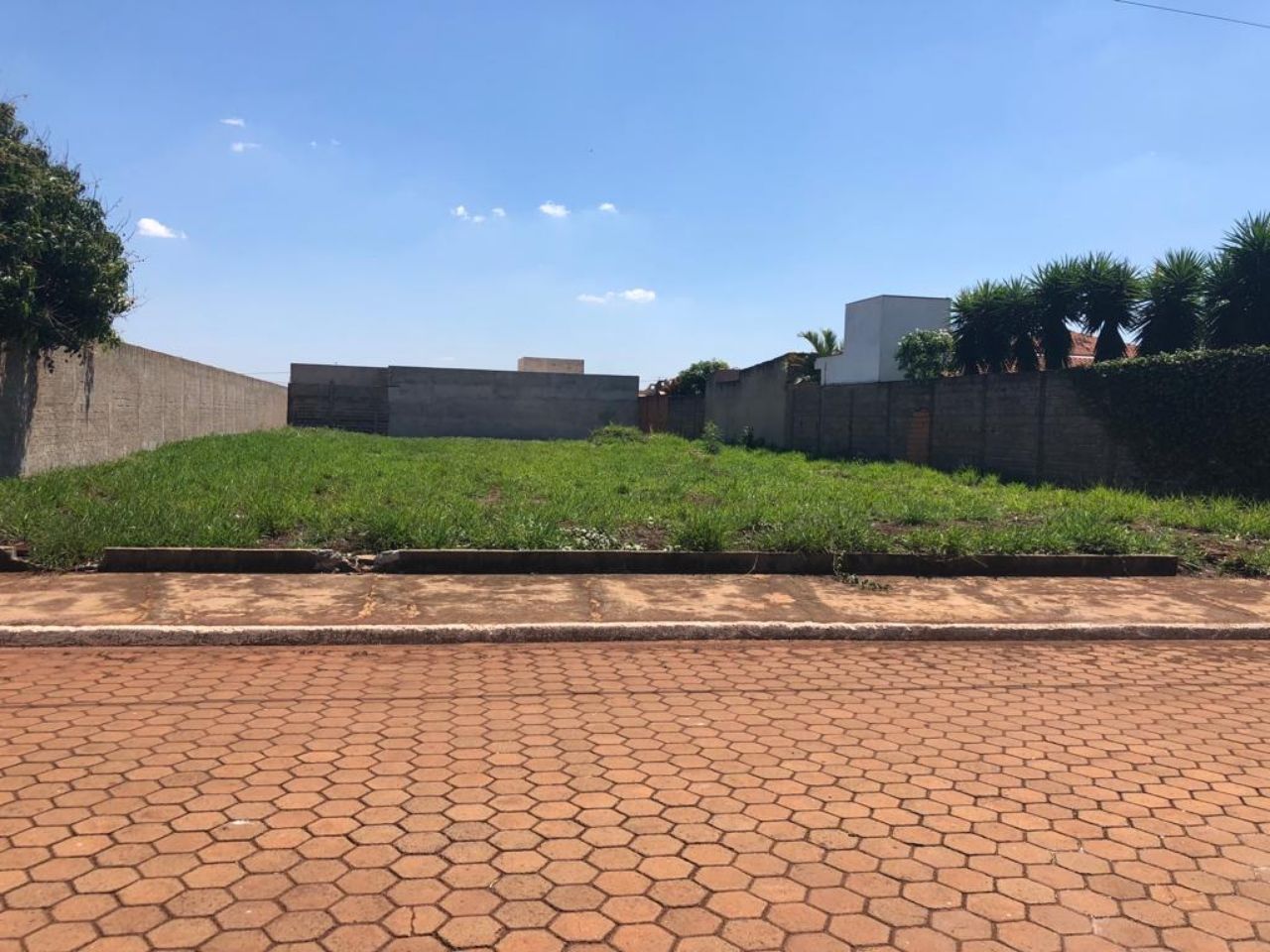 Terreno, 1000 m² - Foto 5