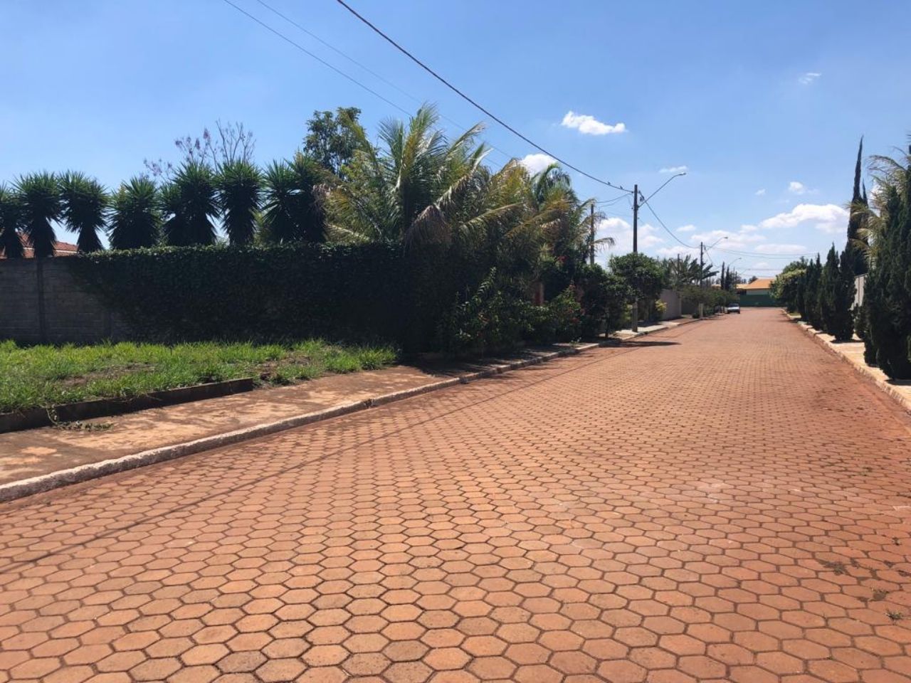 Terreno, 1000 m² - Foto 6
