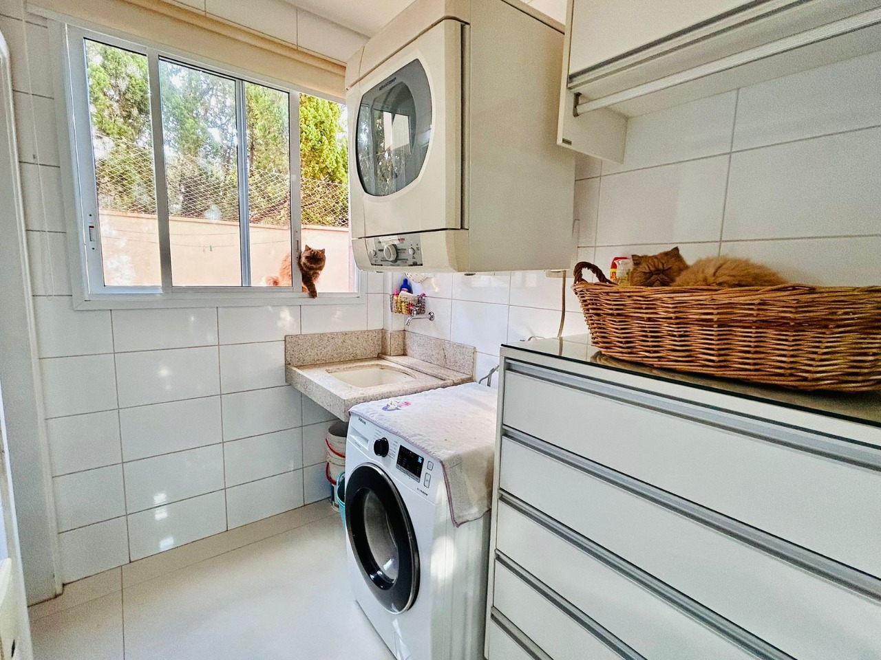Casa, 3 quartos, 243 m² - Foto 7