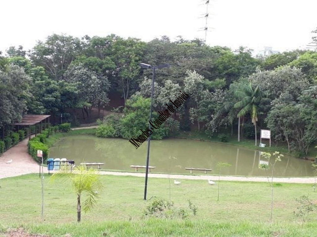 Terreno, 250 m² - Foto 10