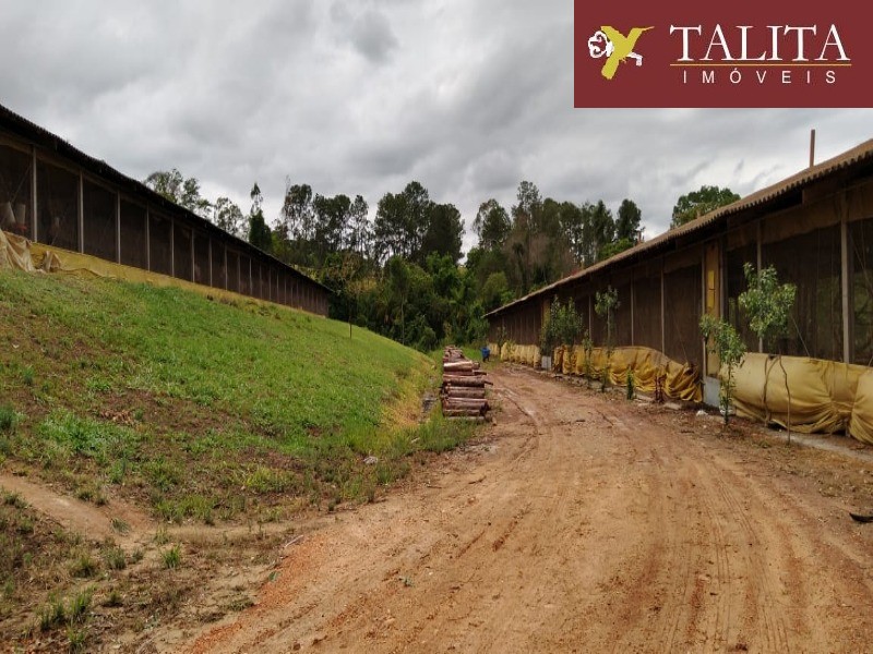 Sítio com 10 alqueires à venda - rafard
