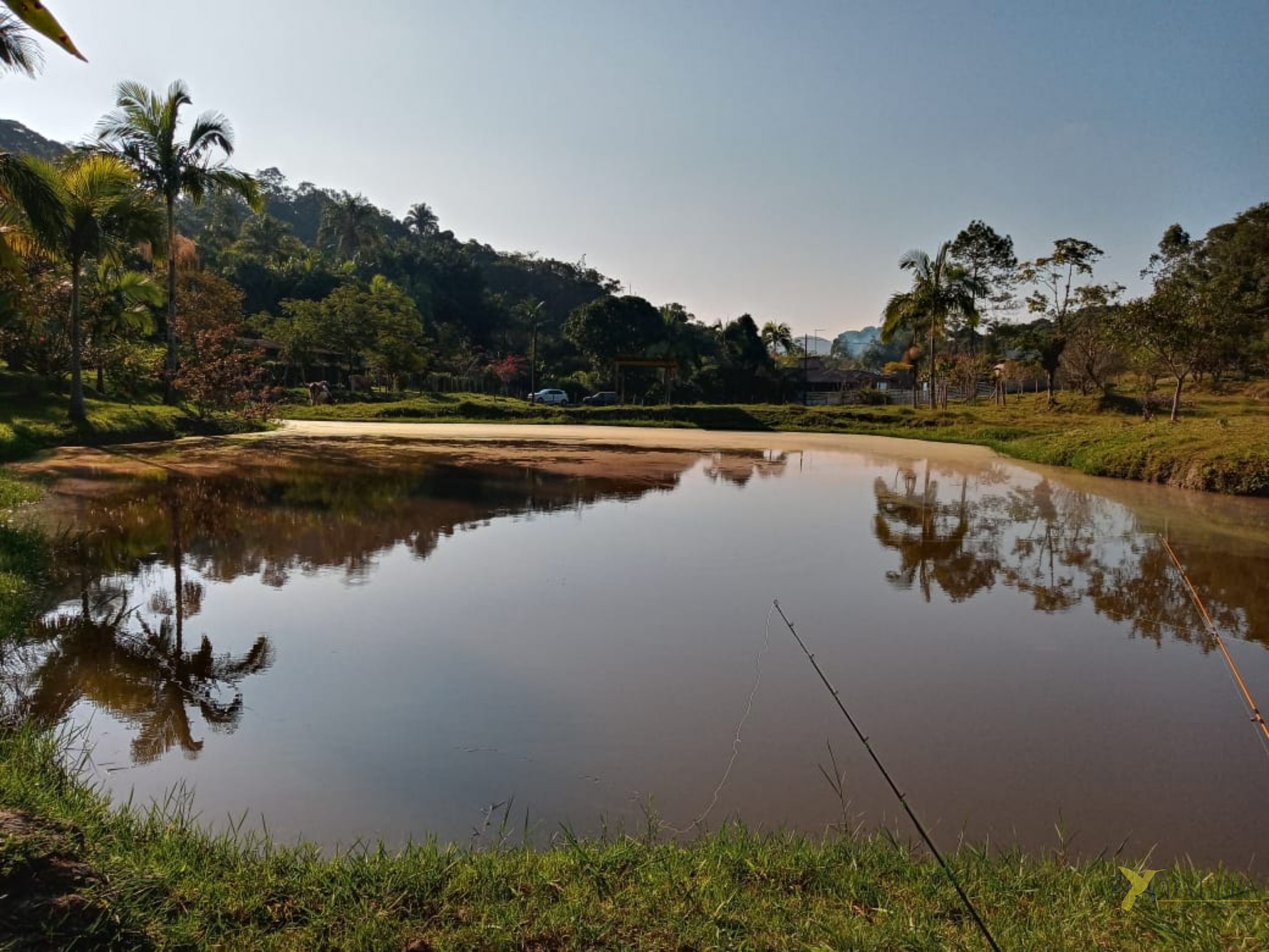 Sítio à venda - jacupiranga