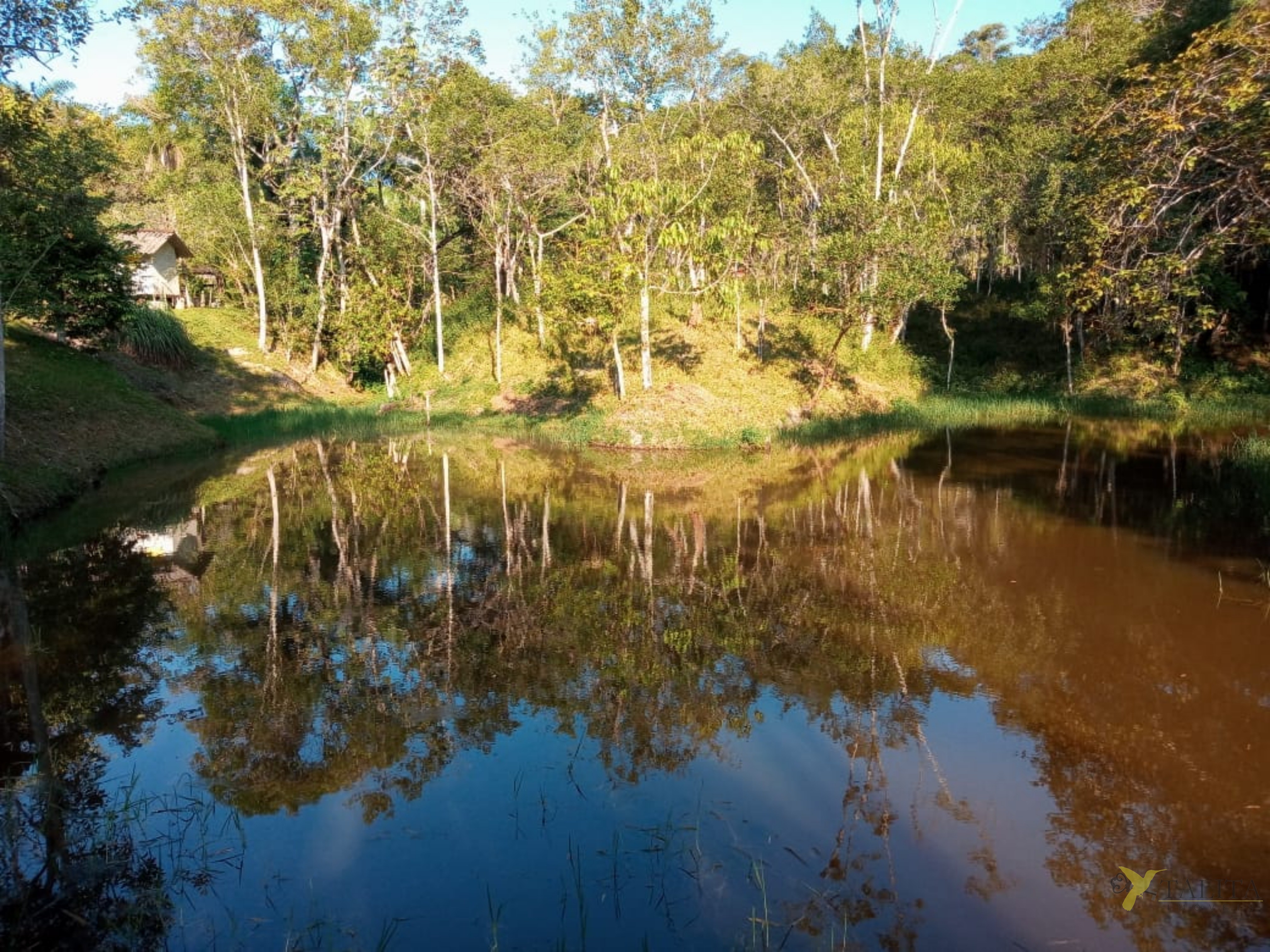 Sítio à venda - jacupiranga