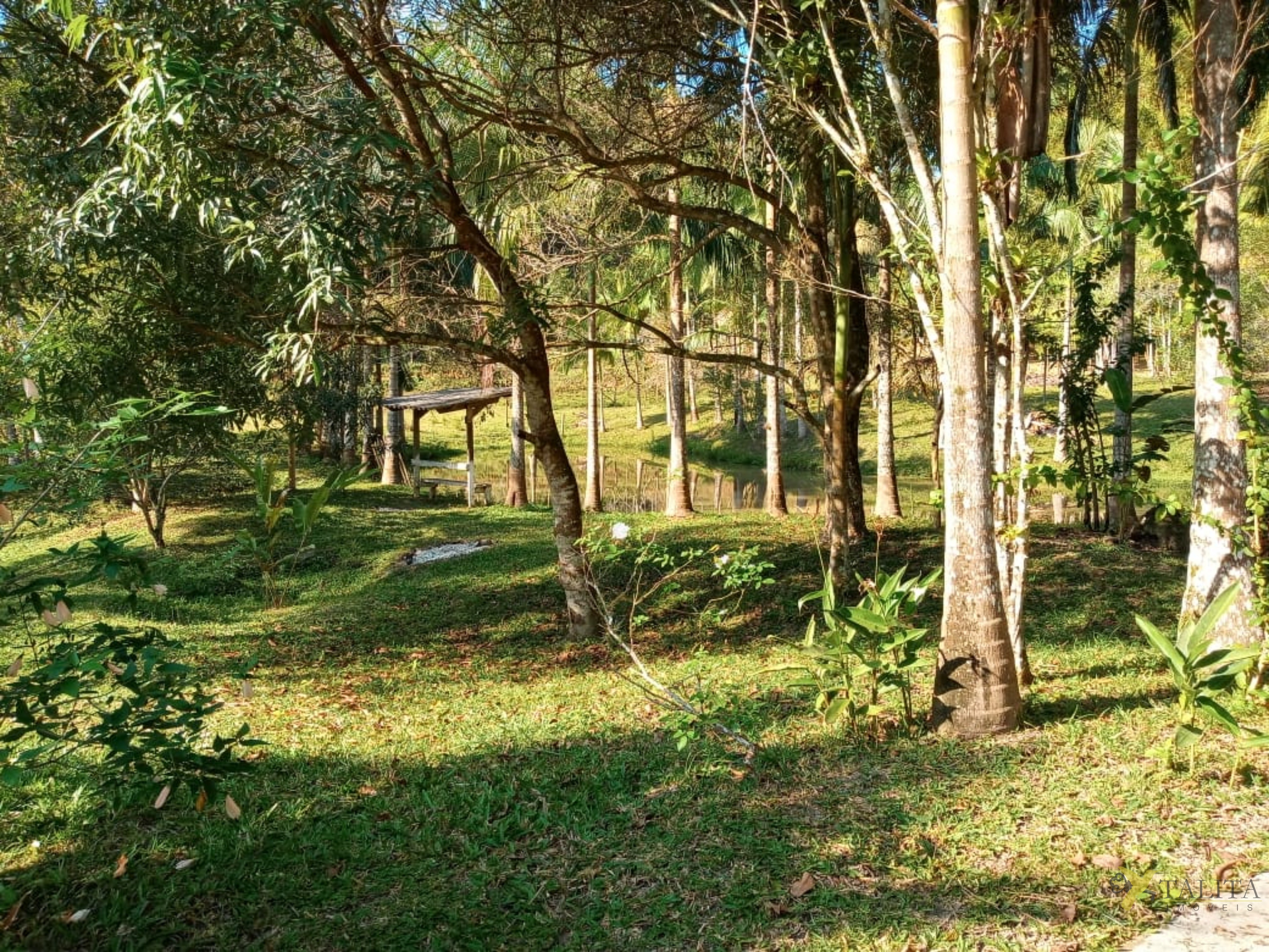 Sítio à venda - jacupiranga