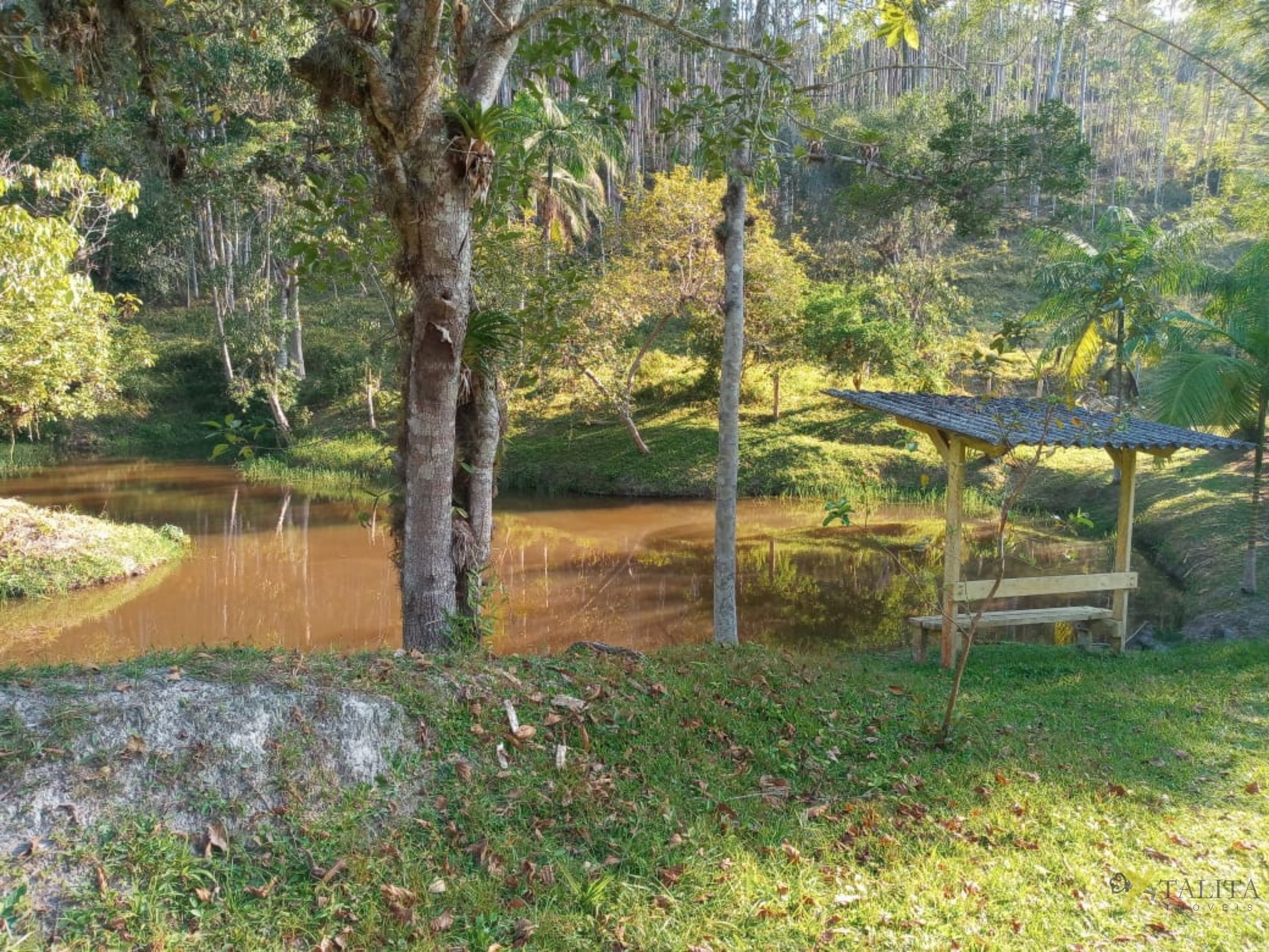 Sítio à venda - jacupiranga