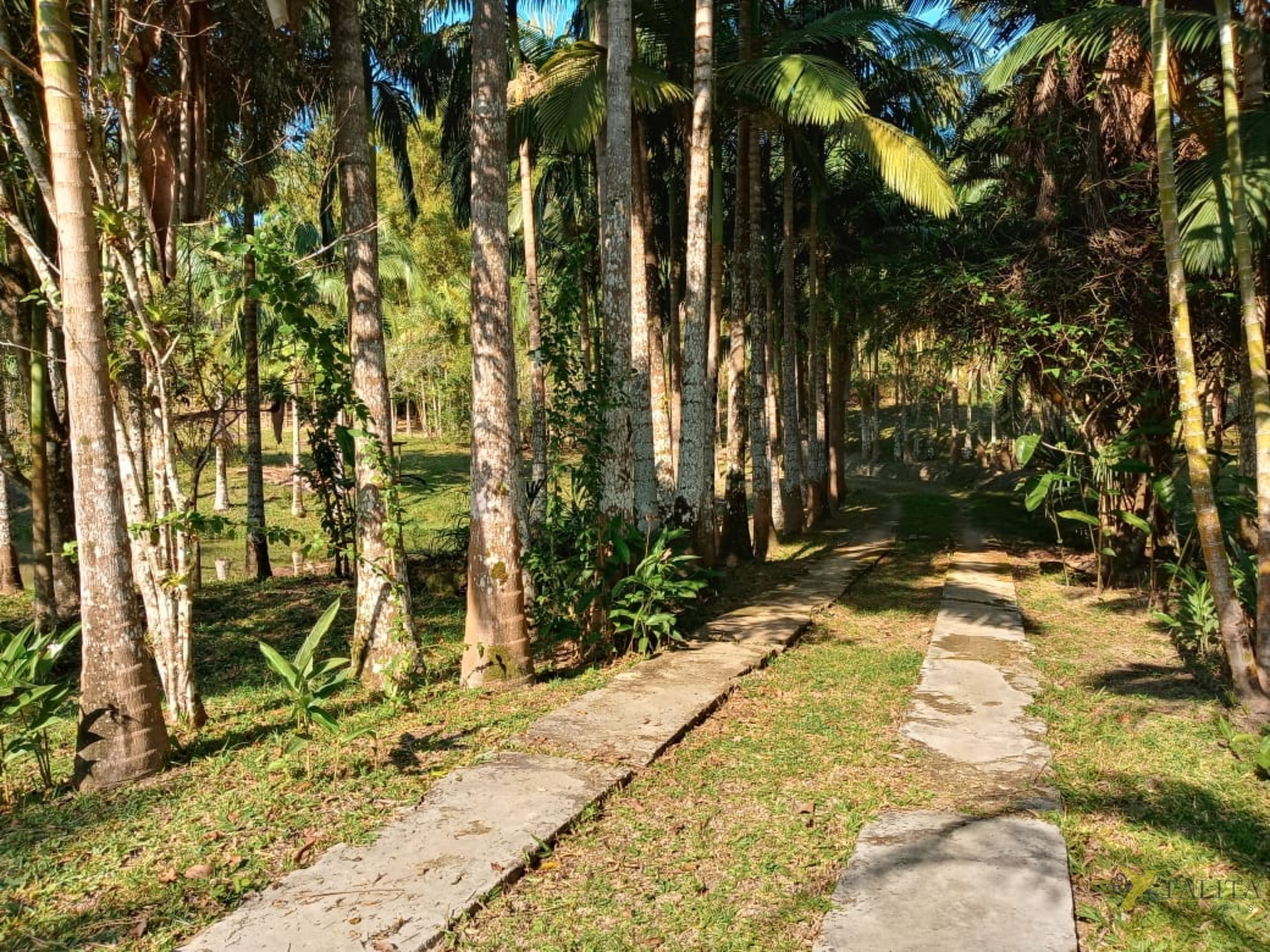 Sítio à venda - jacupiranga