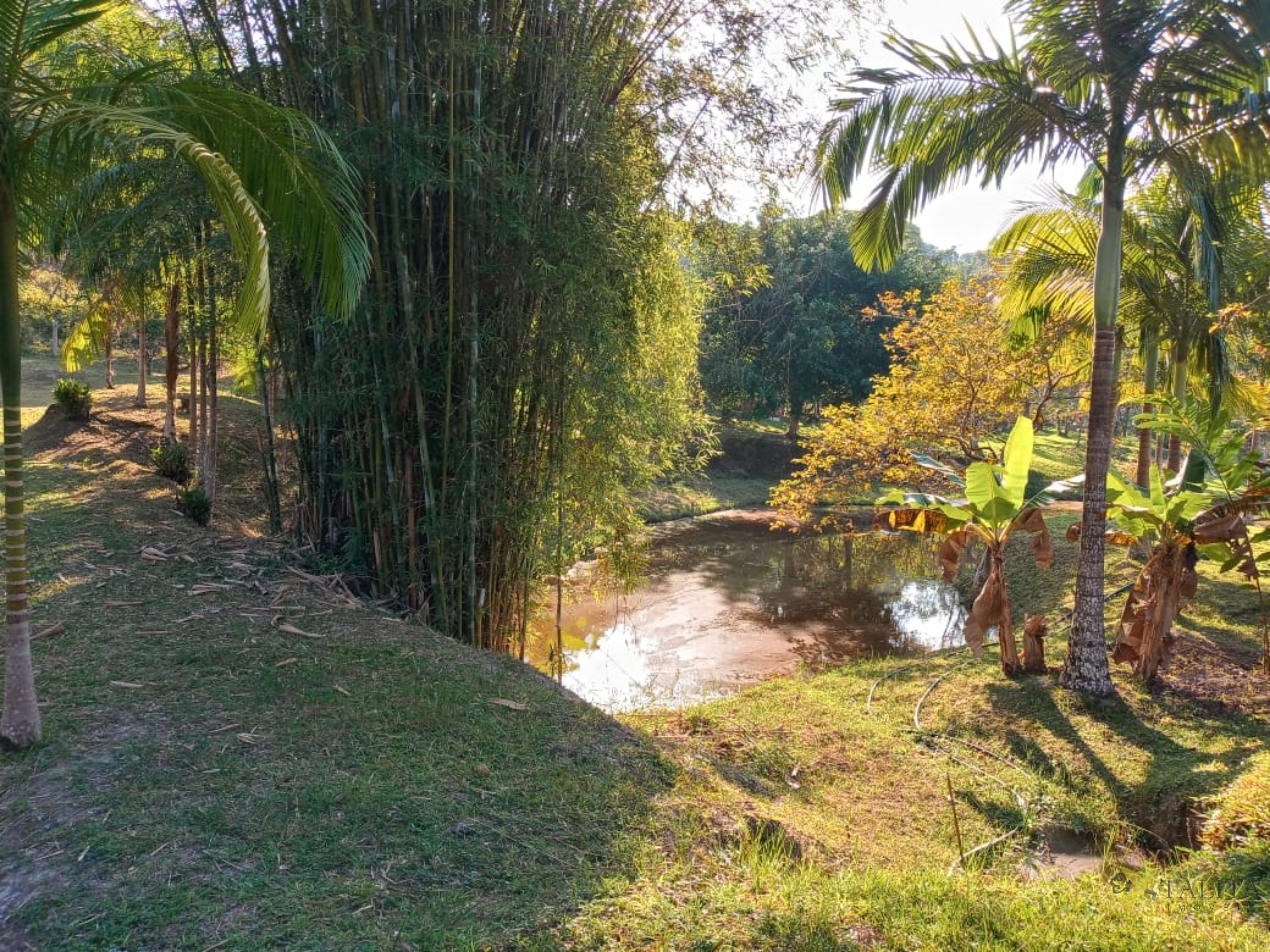 Sítio à venda - jacupiranga